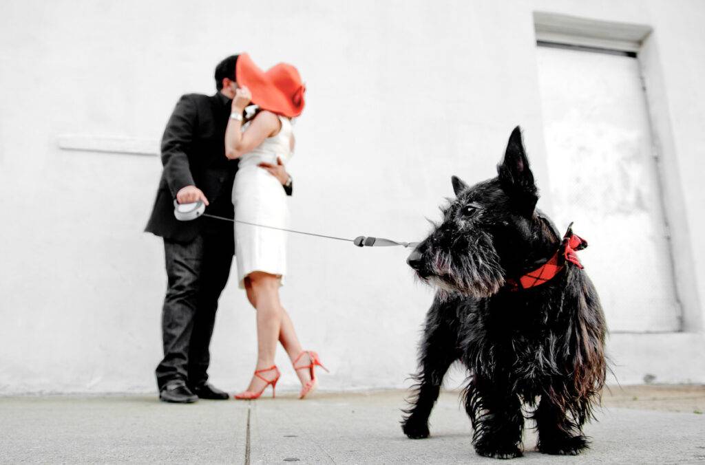 NYC WEDDING PHOTOGRAPHER